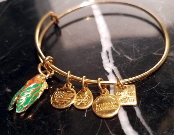 Alex and Ani Cicada Beetle Shiny Gold Beaded Bangle Bracelet Very Nice