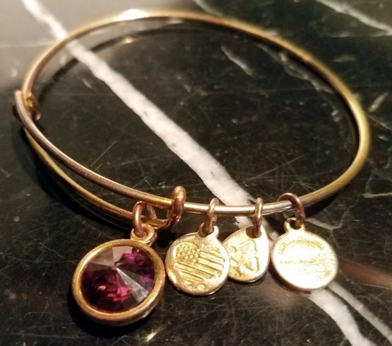Alex and Ani February Birthstone AMETHYST Rafaelian Gold Charm Bangle Bracelet