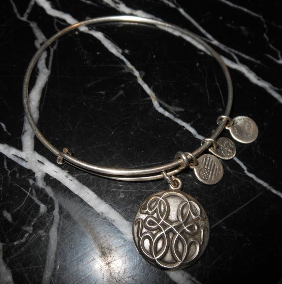 Alex And Ani Knowledge Strength Motivation Charm Silver Bangle
