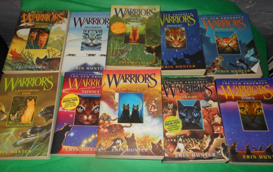 Lot 10 Books Warrior by Erin Hunter Cat Stories The New Prophecy