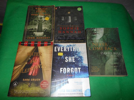 Lot 5 Books Vintage Mystery Thriller Horror Berendt Hannah Bell Gruen Ballantyne