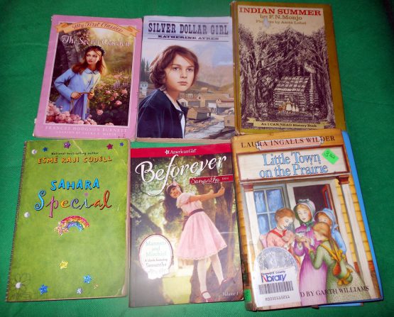 Lot 6 Books Vintage Teen Stories Secret Garden Silver Dollar Girl Indian Summer Little Town