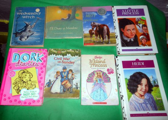 Lot 8 Books Vintage Illustrated Stories Dork Diaries Heidi Island Princess Misty