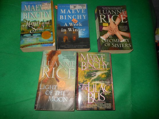 Lot of 5 Books by Maeve Binchy Luanna Rice Heart Soul The Lilac Bus Paperback