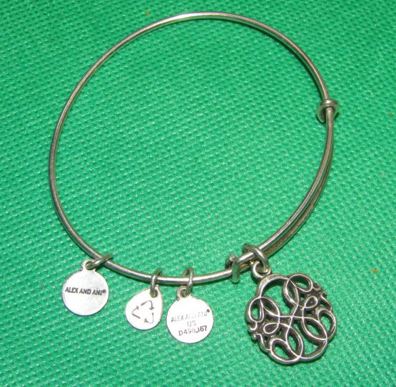 Alex And Ani Rafaelian Silver Path of Life Charm Expandable Bracelet