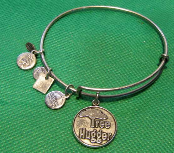 Alex and Ani 2012 Tree Hugger Charm Bangle Bracelet Rafaelian Silver