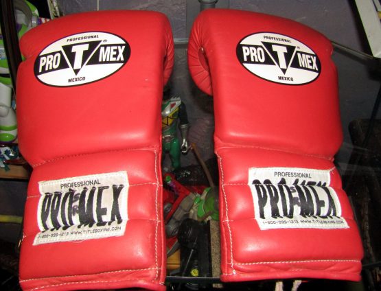 Pro T Mex Professional Men Boxing Gloves Red